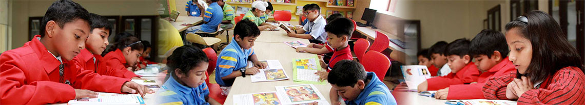 Senior Secondary Level