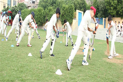 Cricket Academy